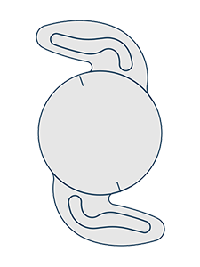 Monofocal IOL's